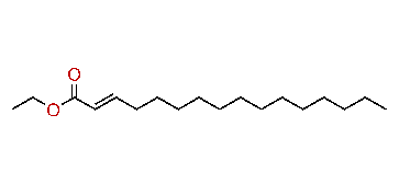 Ethyl hexadecenoate